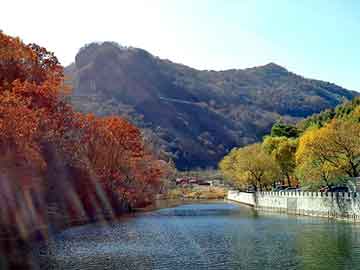 帮别人购买打胎药违法吗有胎字的是打胎的药吗(带胎字的诗句)